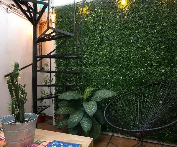 Casa Indigo Cdmx Hostel Mexico City